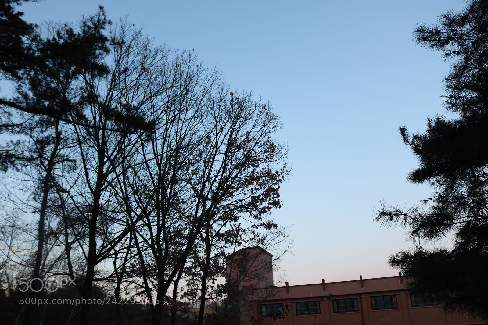 Canon EOS 750D (EOS Rebel T6i / EOS Kiss X8i) sample photo. Img photography