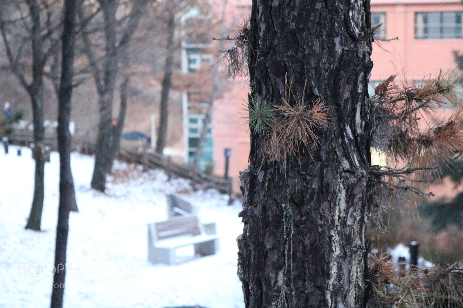 Canon EOS 750D (EOS Rebel T6i / EOS Kiss X8i) sample photo. Img photography