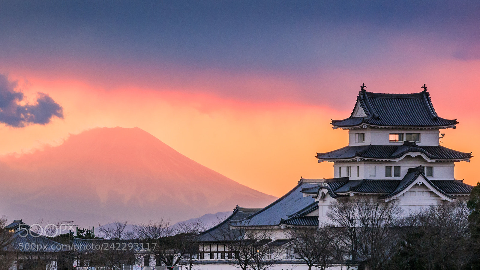 Nikon D810 sample photo. Sekiyado  castle photography