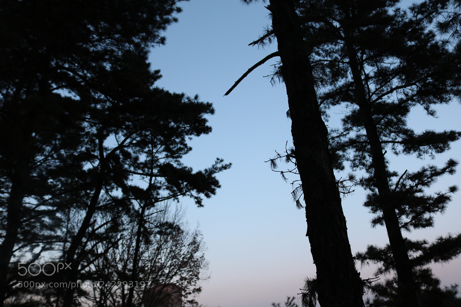 Canon EOS 750D (EOS Rebel T6i / EOS Kiss X8i) sample photo. Img photography