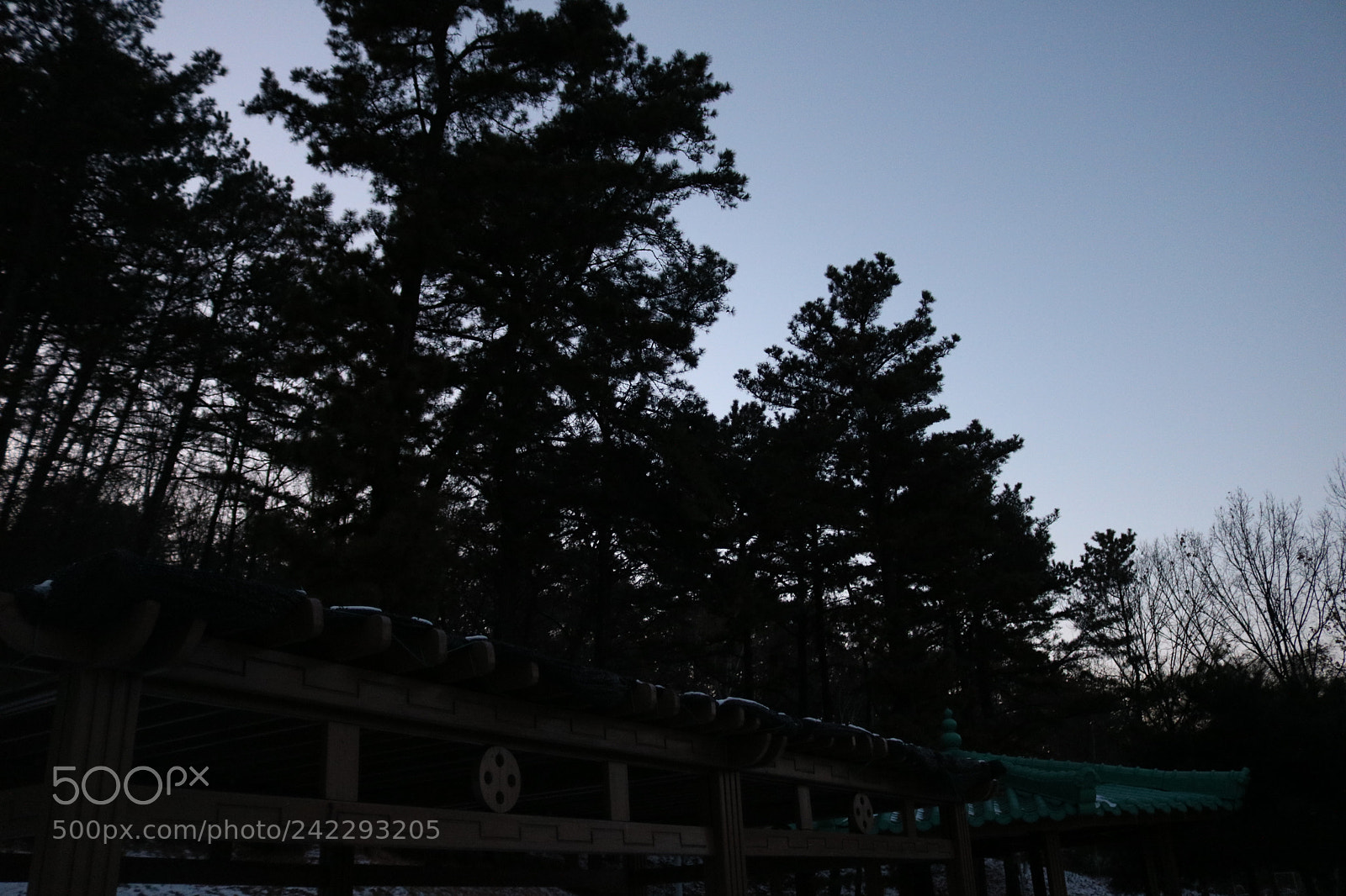 Canon EOS 750D (EOS Rebel T6i / EOS Kiss X8i) sample photo. Img photography