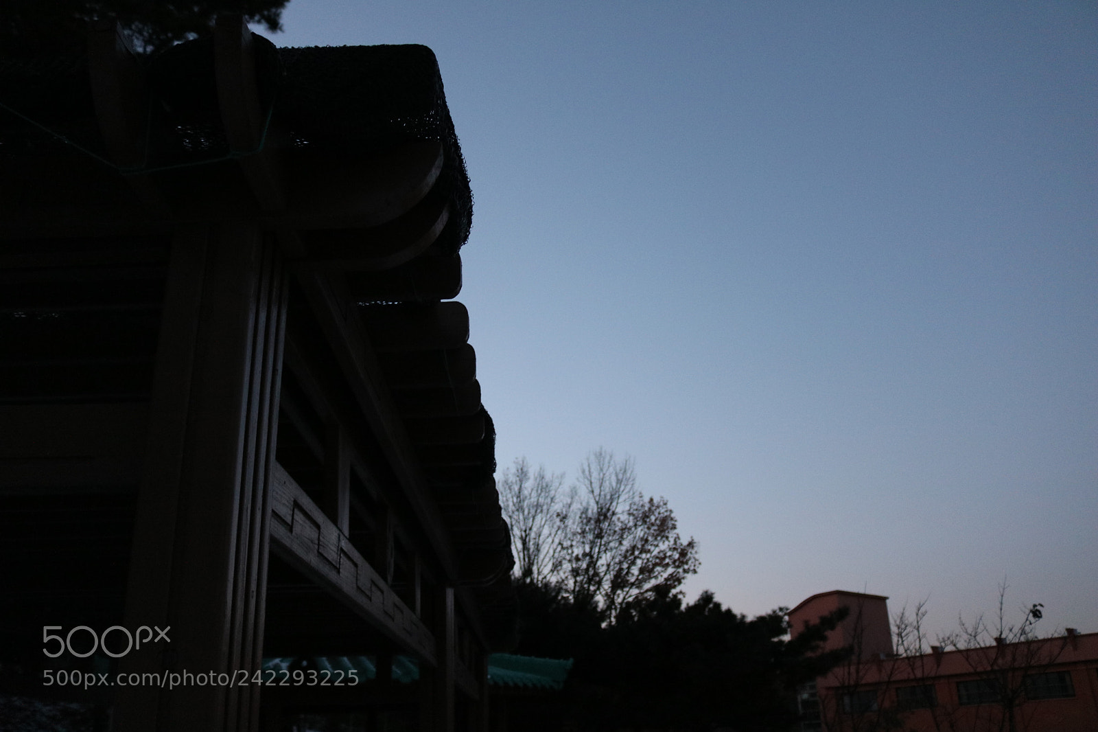 Canon EOS 750D (EOS Rebel T6i / EOS Kiss X8i) sample photo. Img photography