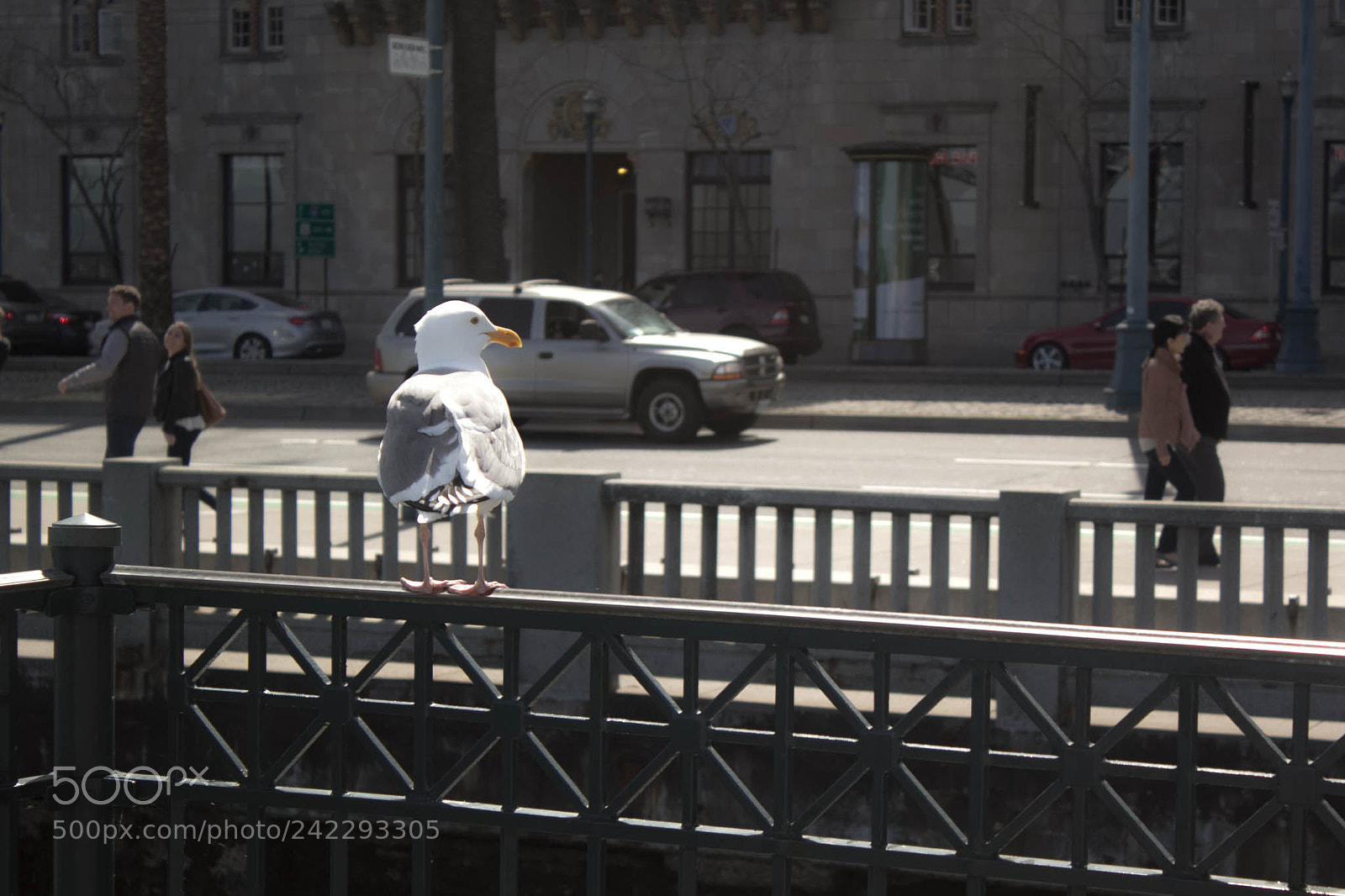 Canon EOS 60D sample photo. 25894465395.jpg photography