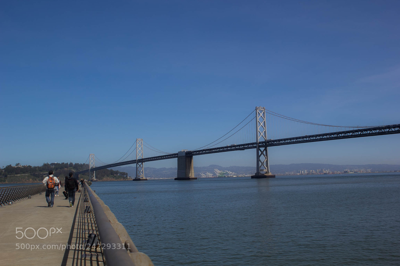 Canon EOS 60D sample photo. 25799512671.jpg photography