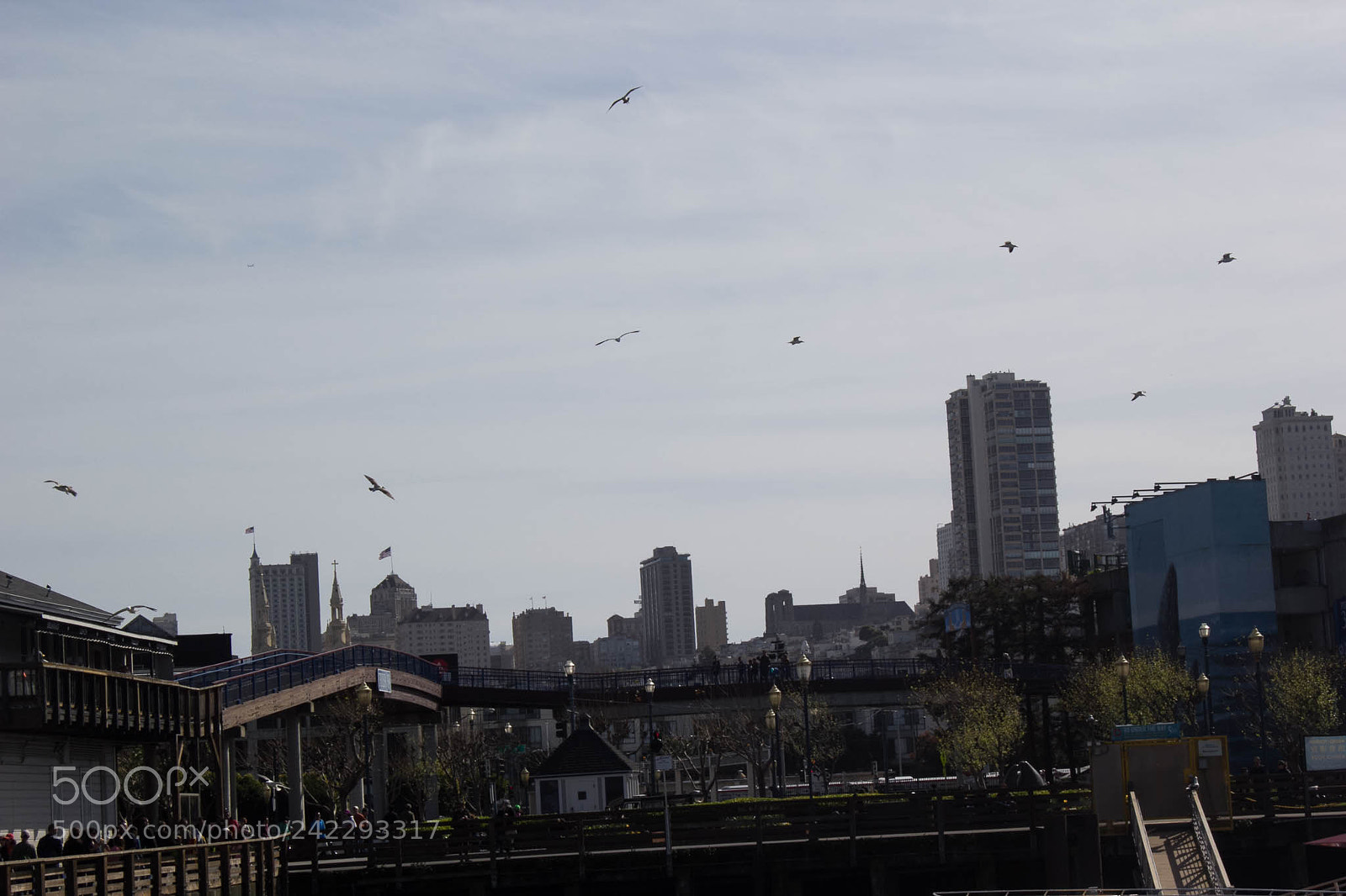 Canon EOS 60D sample photo. 25261742714.jpg photography