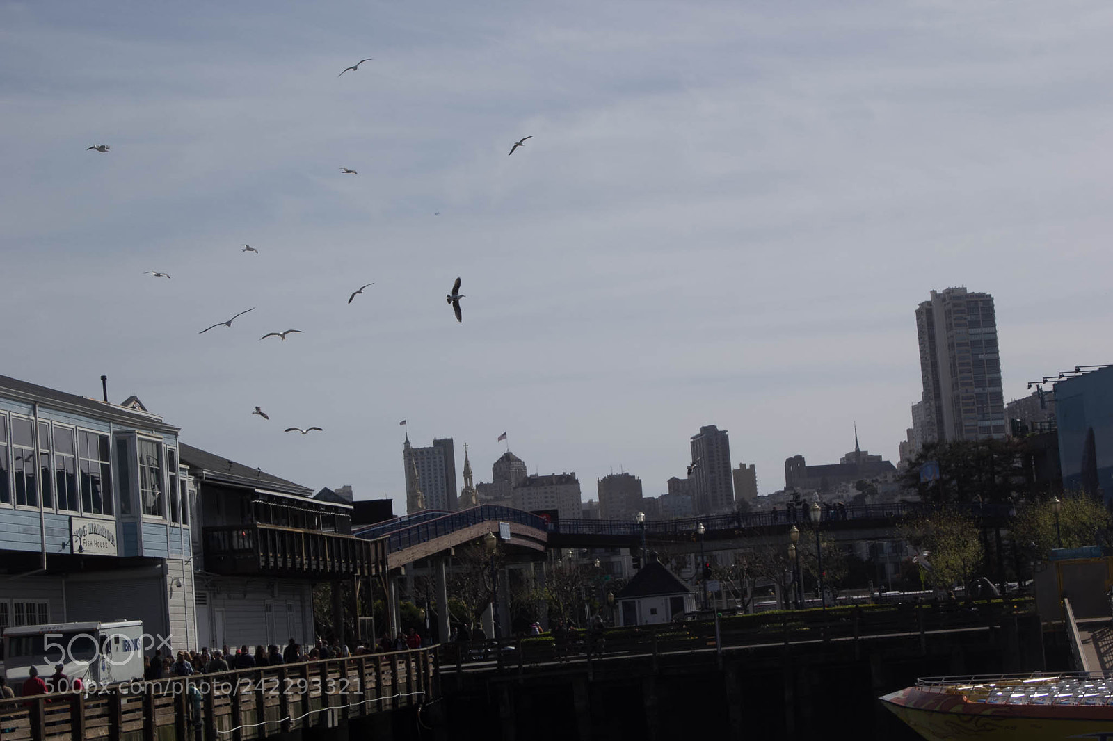 Canon EOS 60D sample photo. 25894465805.jpg photography