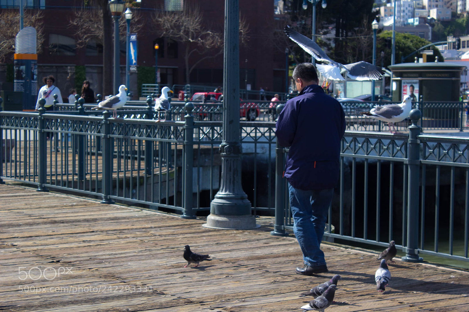 Canon EOS 60D sample photo. 25261744304.jpg photography