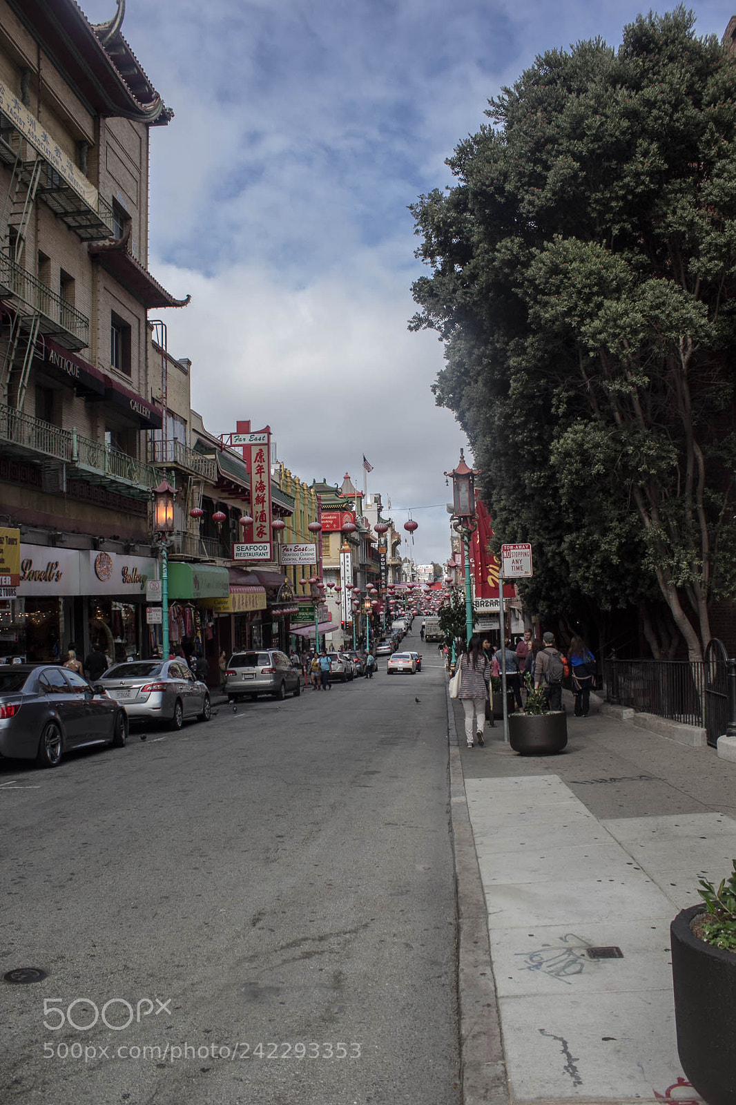 Canon EOS 60D sample photo. 22266729686.jpg photography