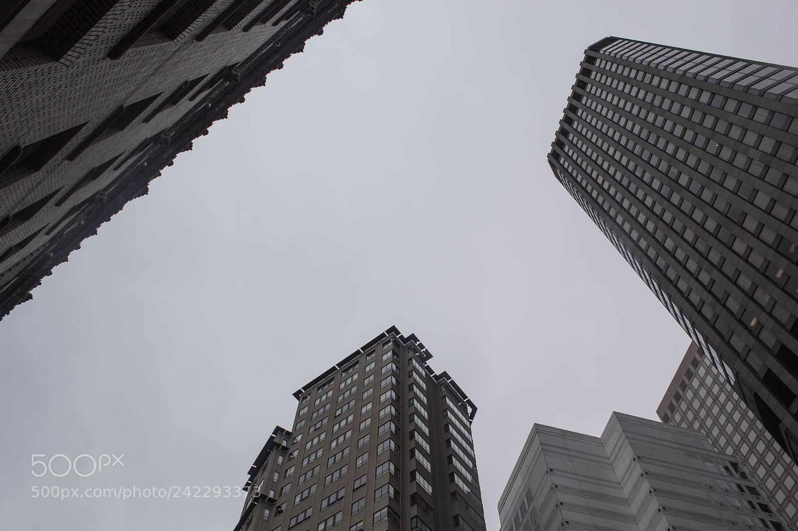 Canon EOS 60D sample photo. 22292738595.jpg photography