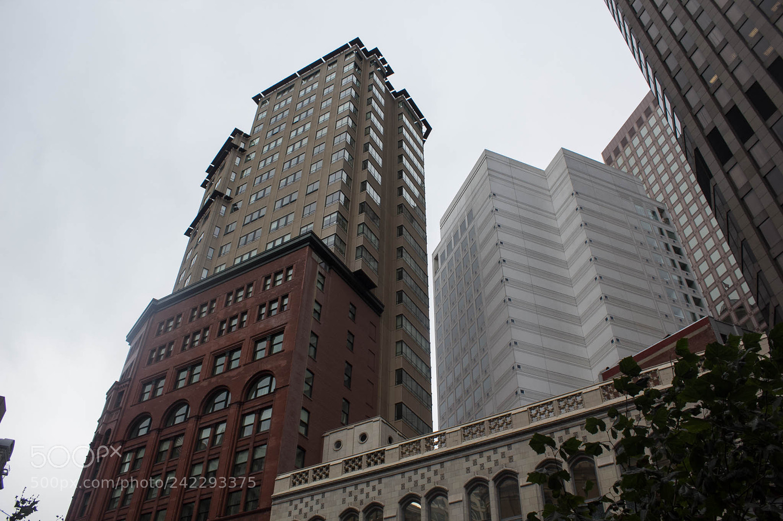 Canon EOS 60D sample photo. 22266731556.jpg photography