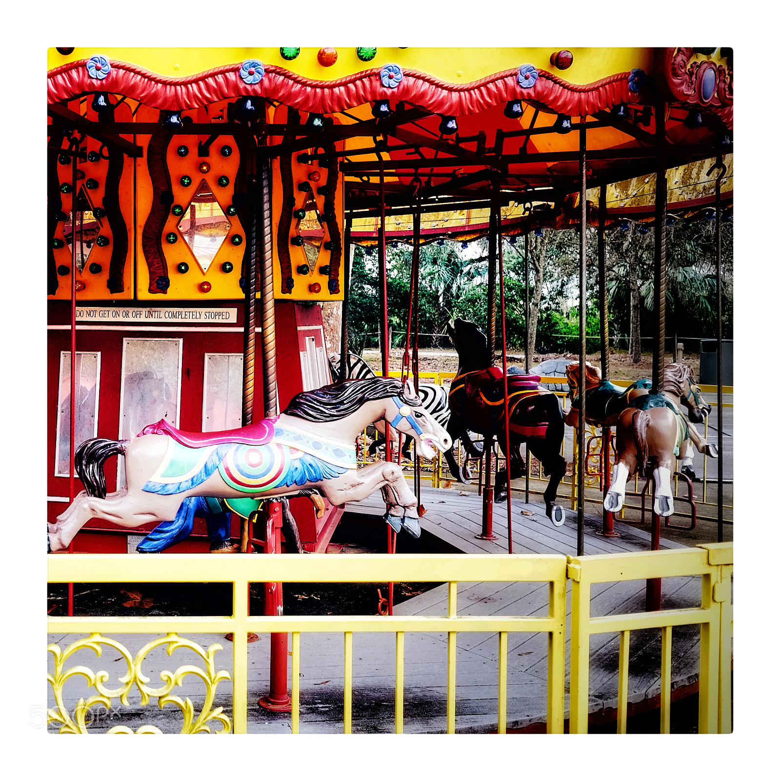 Fujifilm X70 sample photo. Carousel photography
