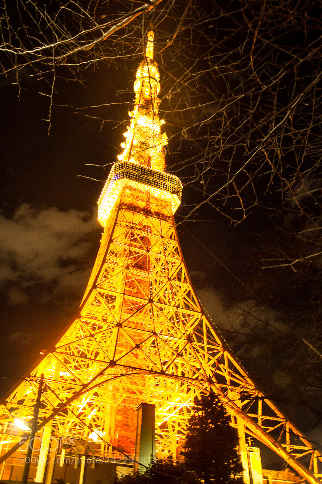 Canon EOS 60D sample photo. 31495405224.jpg photography