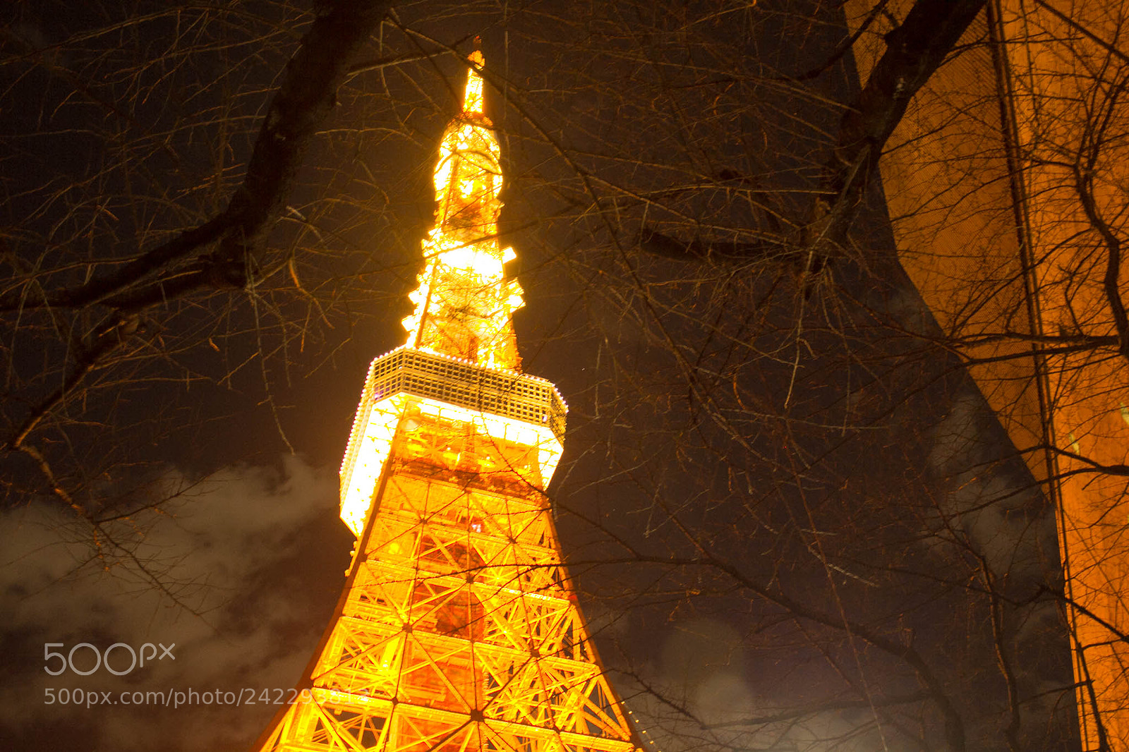 Canon EOS 60D sample photo. 31960539950.jpg photography
