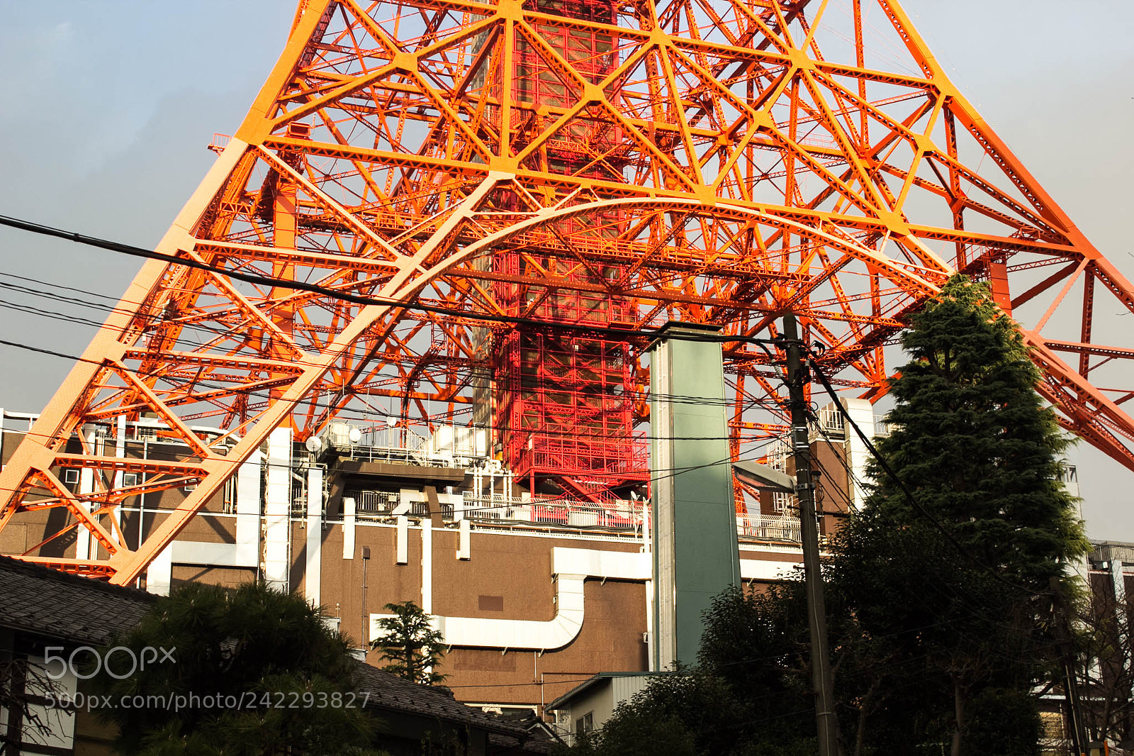 Canon EOS 60D sample photo. 32337520965.jpg photography
