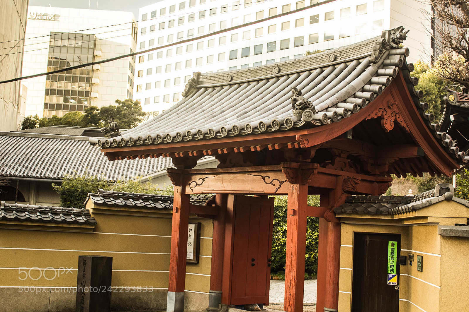 Canon EOS 60D sample photo. 31495420964.jpg photography