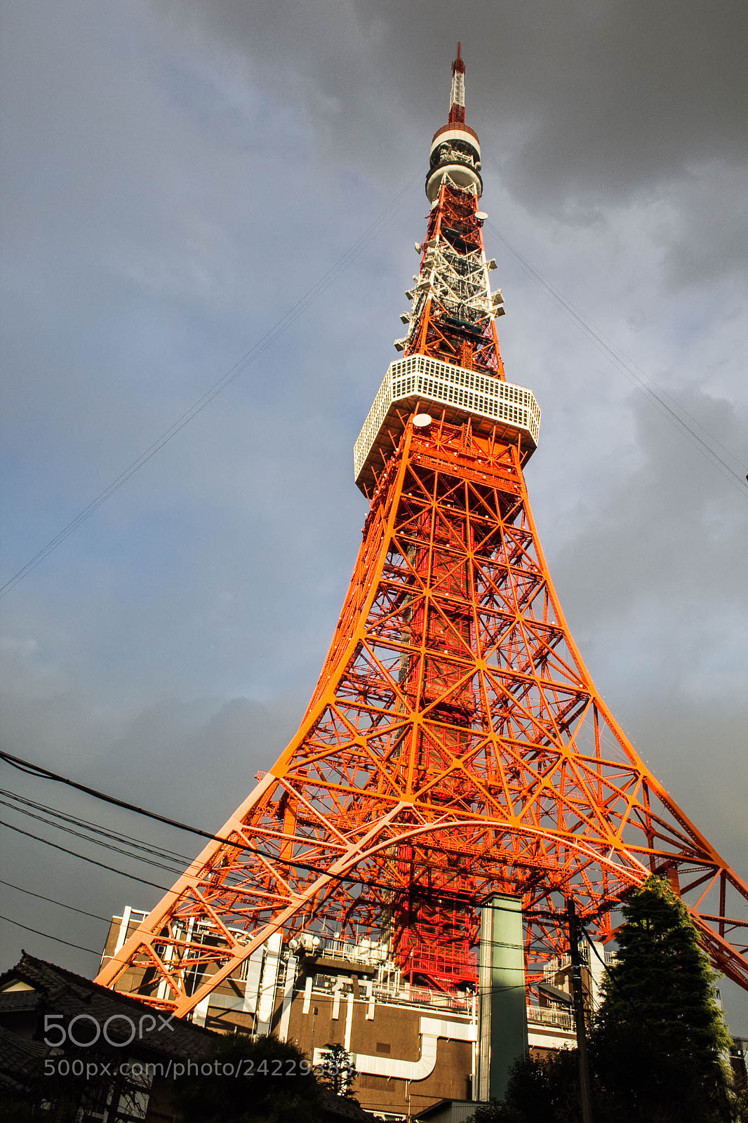 Canon EOS 60D sample photo. 32298594026.jpg photography