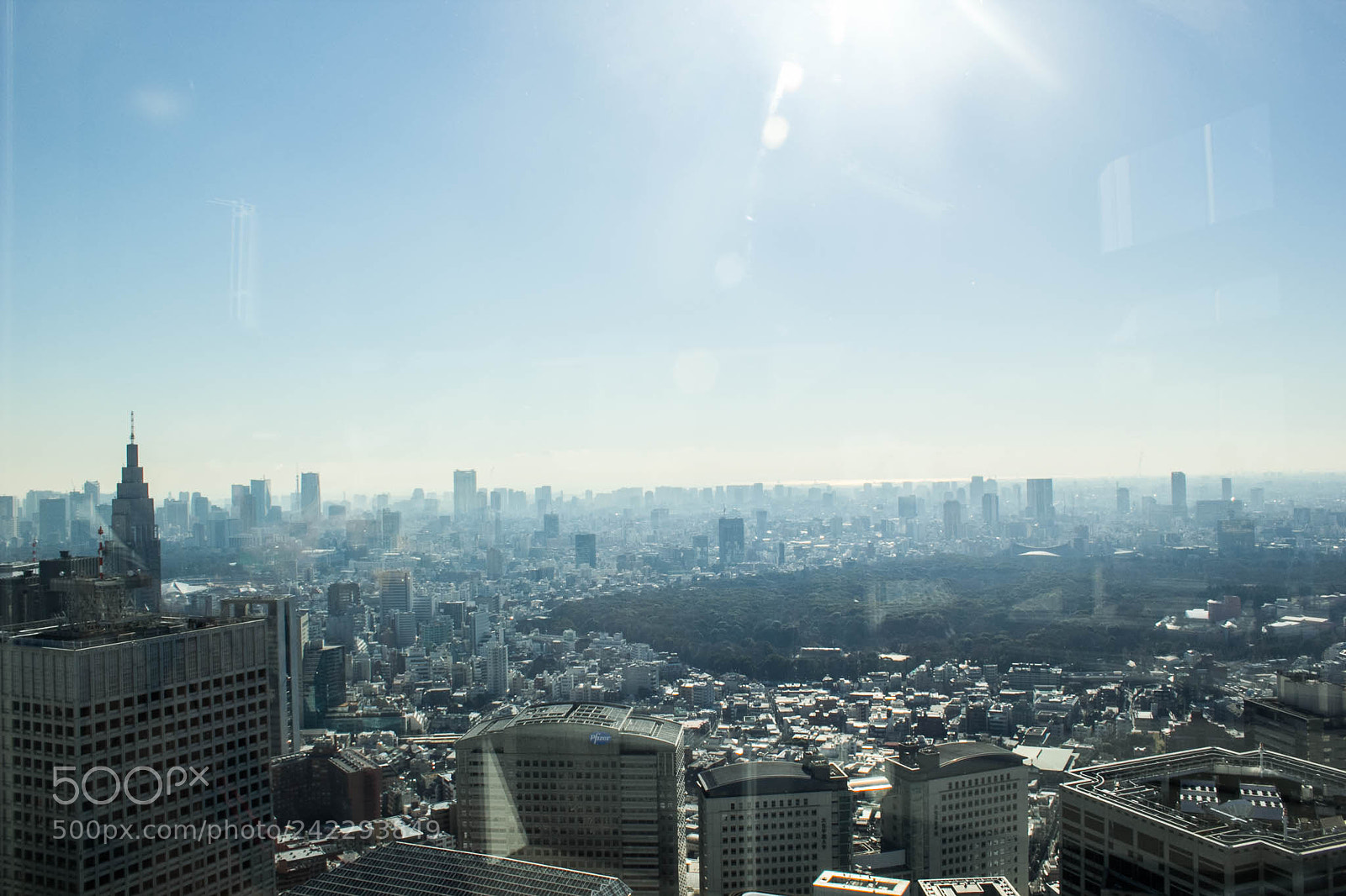 Canon EOS 60D sample photo. 32337547315.jpg photography