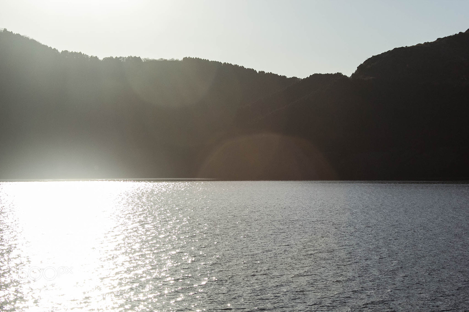 Canon EOS 60D sample photo. 31495451424.jpg photography