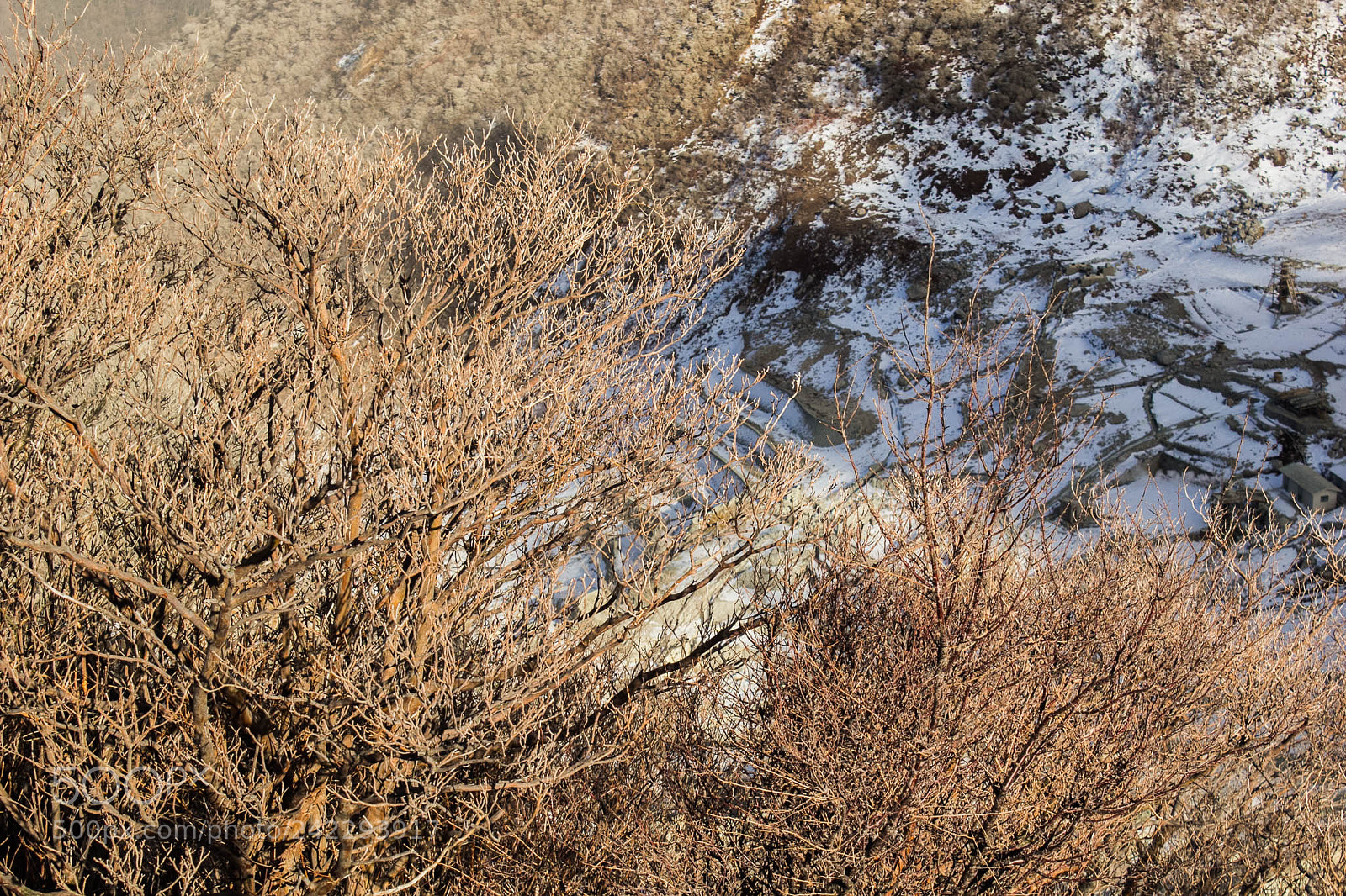 Canon EOS 60D sample photo. 32217791721.jpg photography