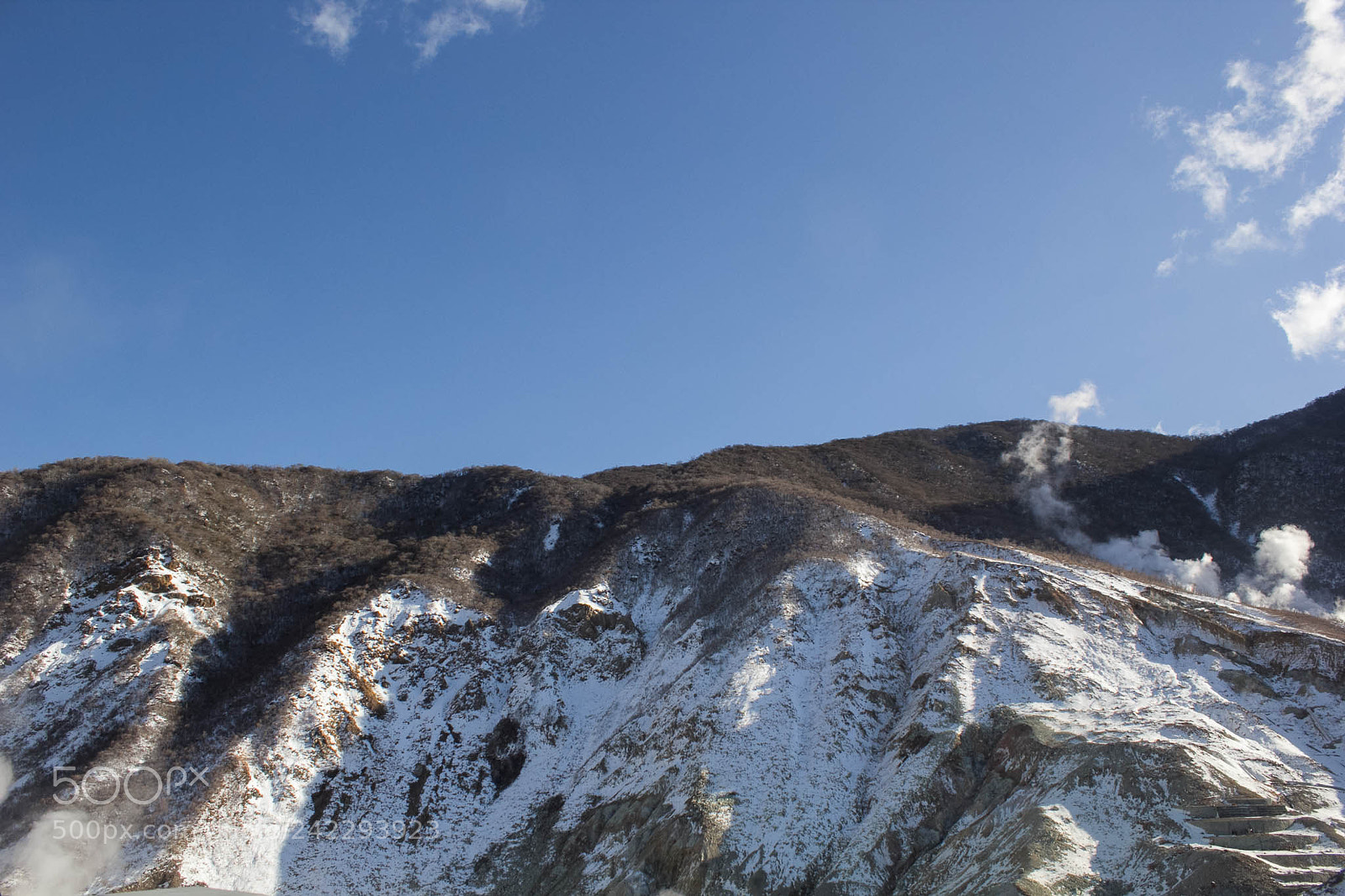 Canon EOS 60D sample photo. 32298673996.jpg photography
