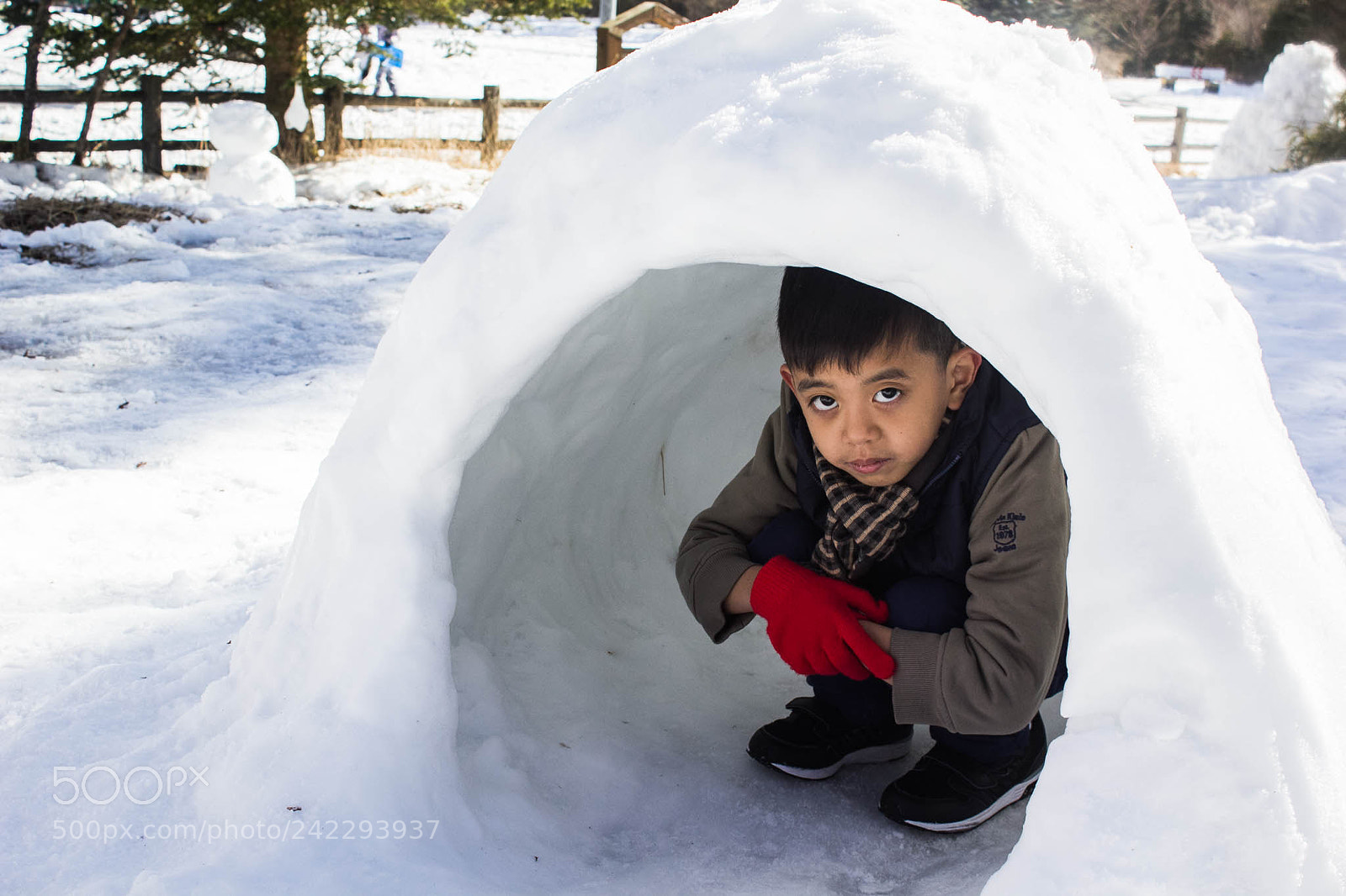 Canon EOS 60D sample photo. 31960650670.jpg photography