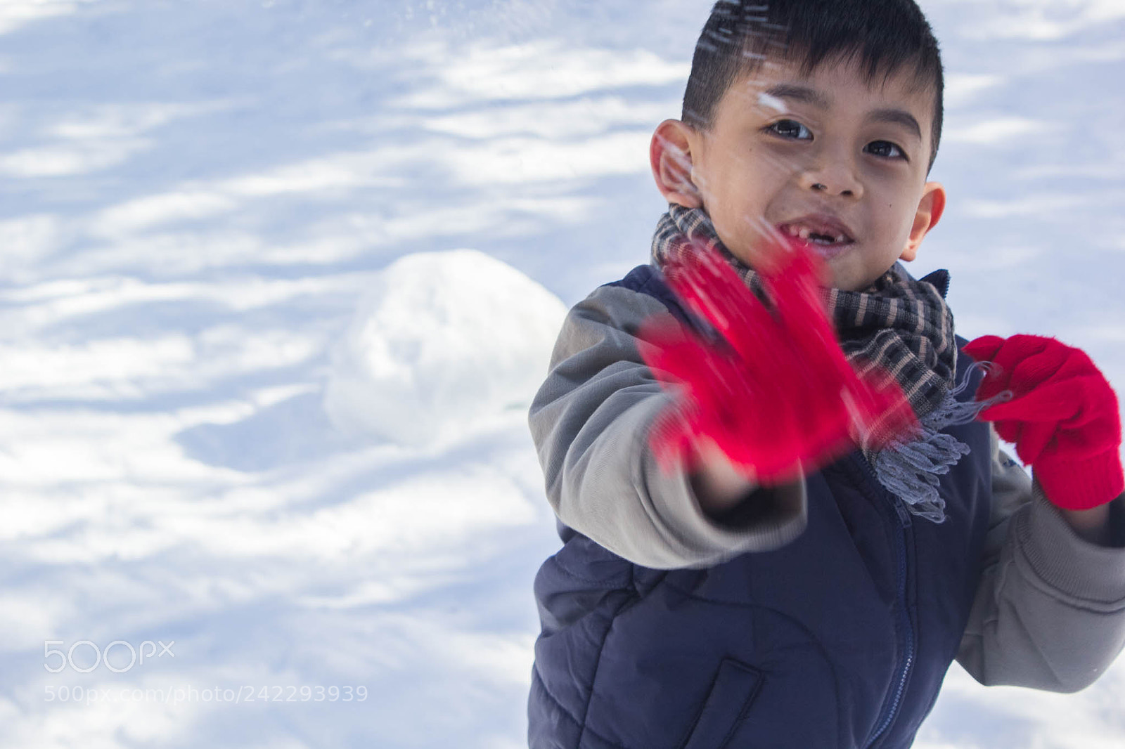 Canon EOS 60D sample photo. 32337607215.jpg photography