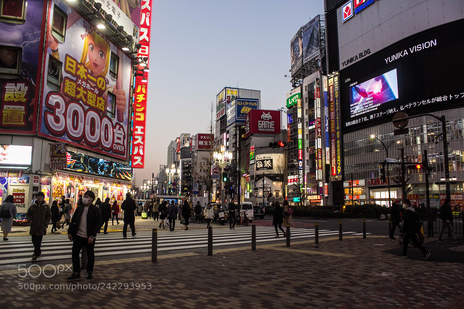 Canon EOS 60D sample photo. 31495510574.jpg photography