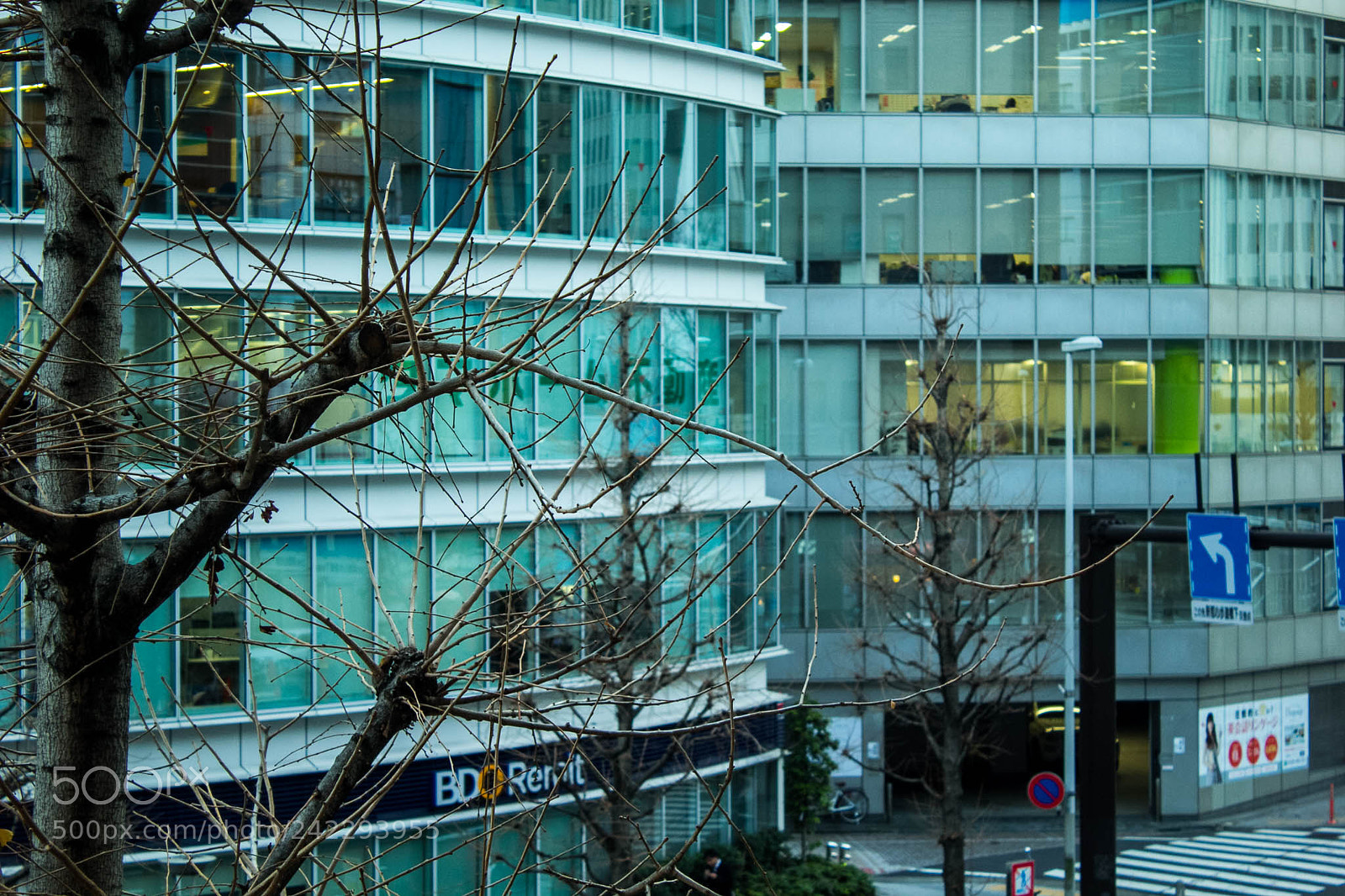 Canon EOS 60D sample photo. 32217826681.jpg photography