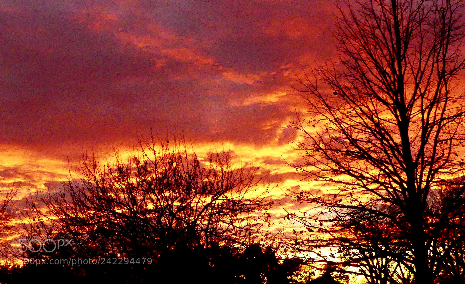 Panasonic Lumix DMC-FZ300 sample photo. Sunset photography