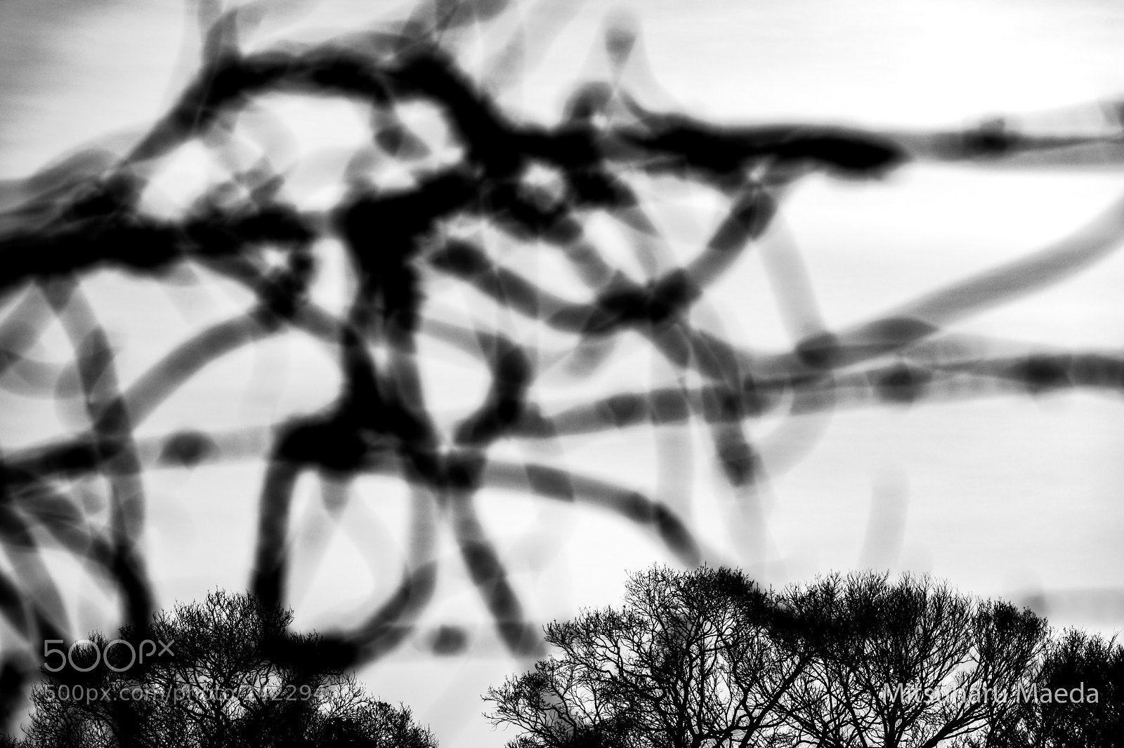 Nikon D850 sample photo. Fence and winter tree photography