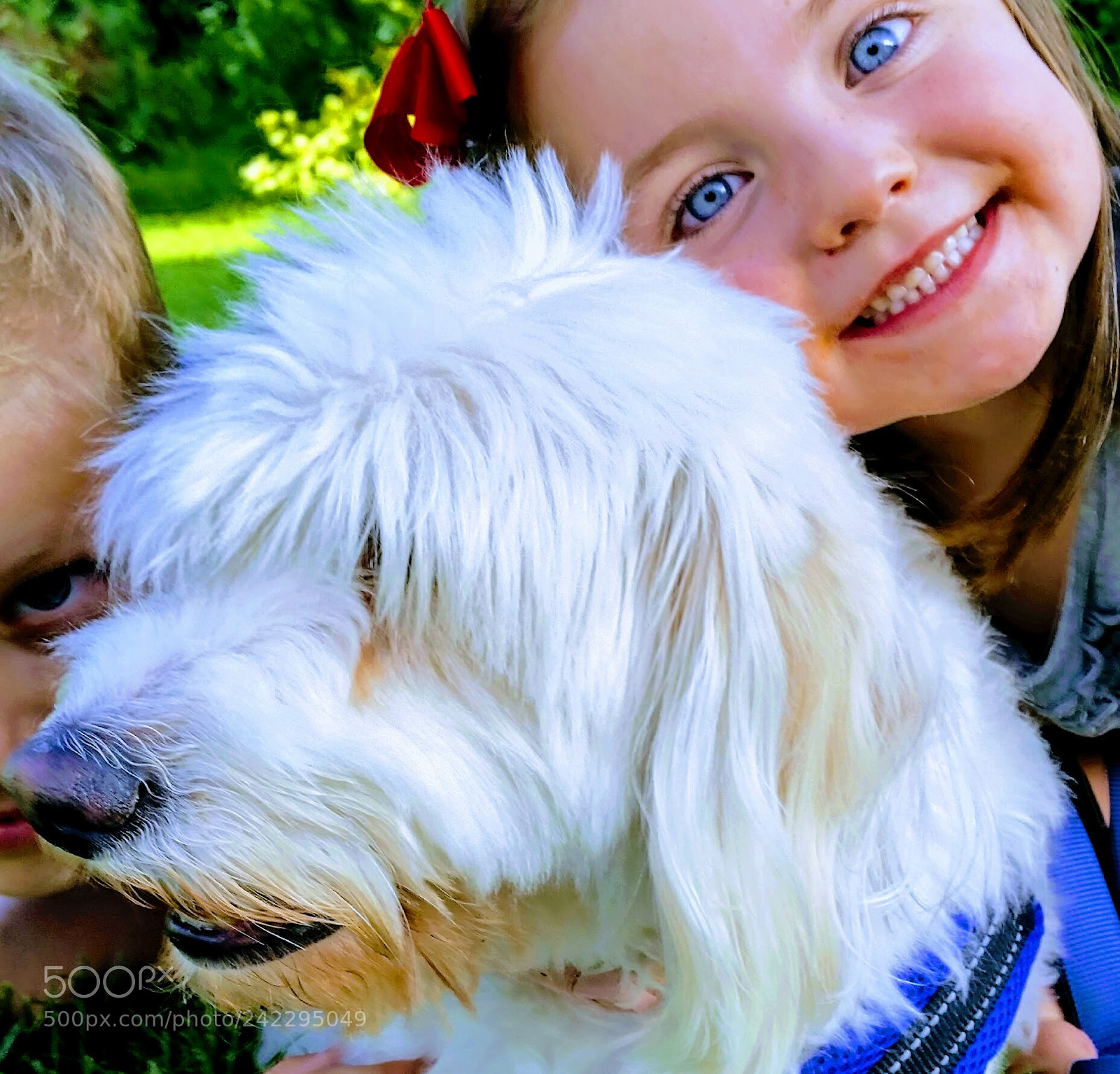 Samsung Galaxy S5 sample photo. Man's best friend photography
