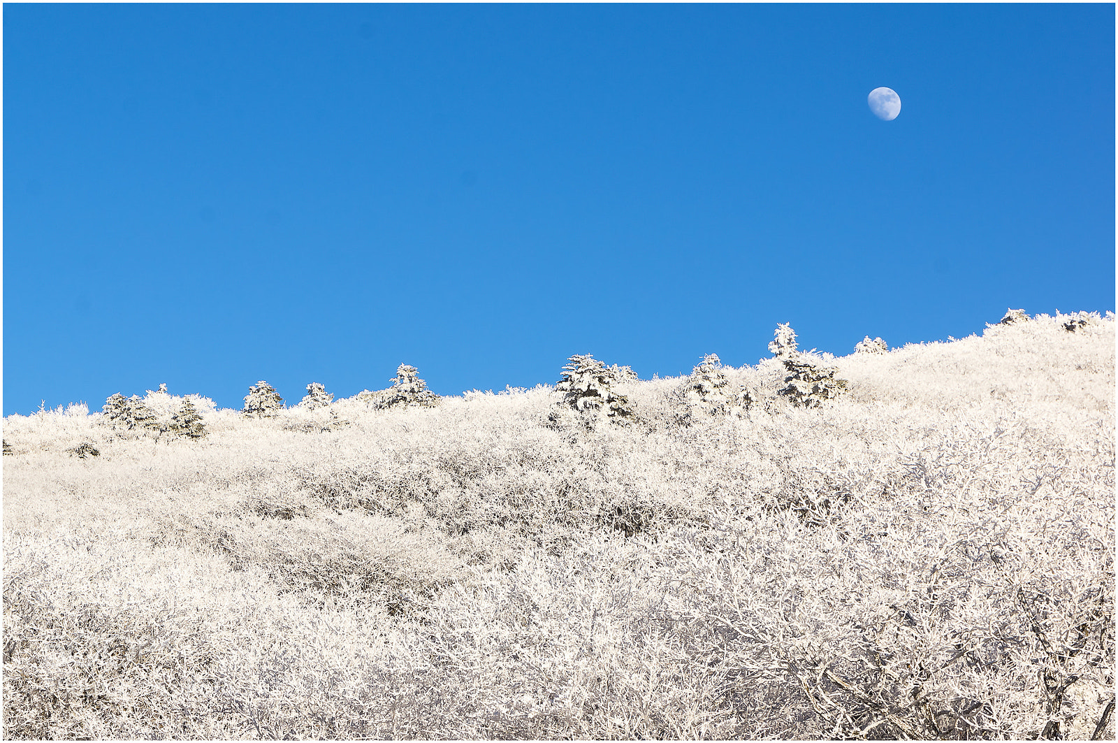 Sony Alpha NEX-5N sample photo. Blue white and moon photography