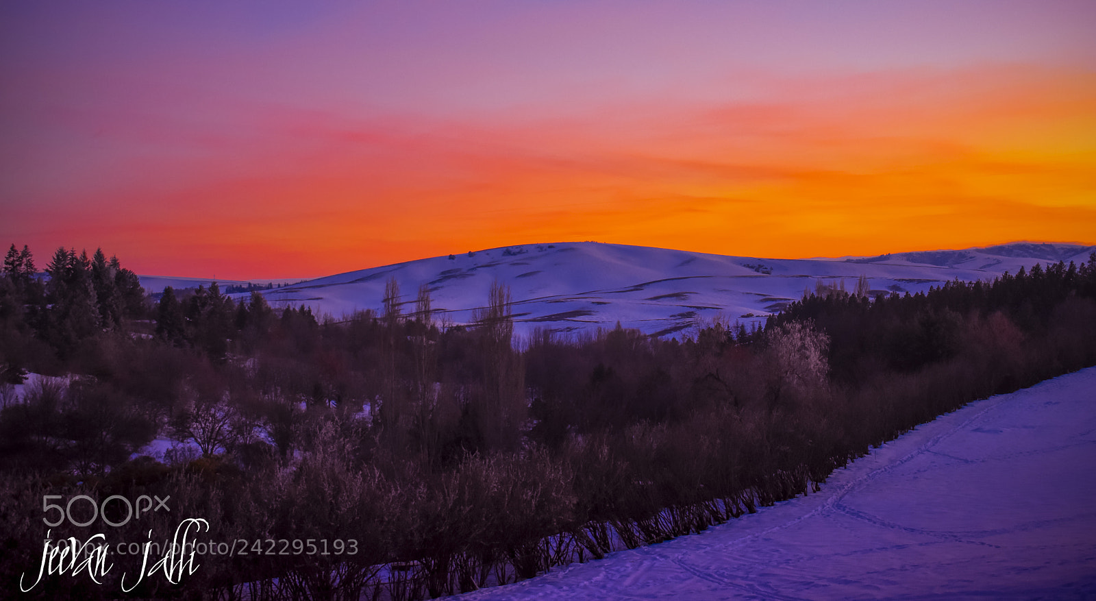 Nikon D3400 sample photo. Palouse sunset photography