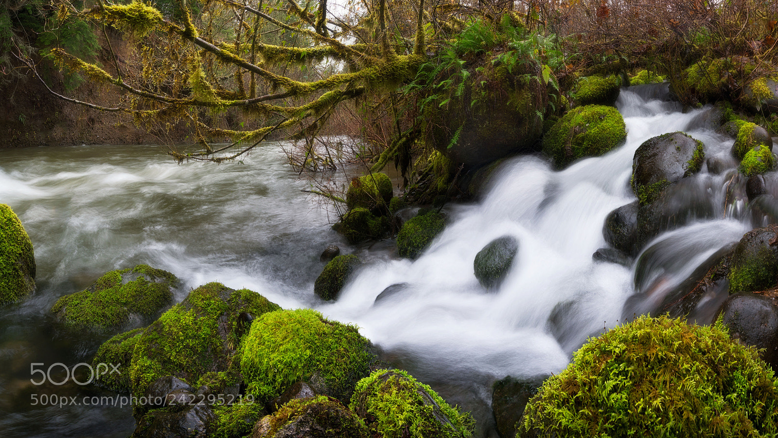 Sony a7R III sample photo. Where rivers meet the photography