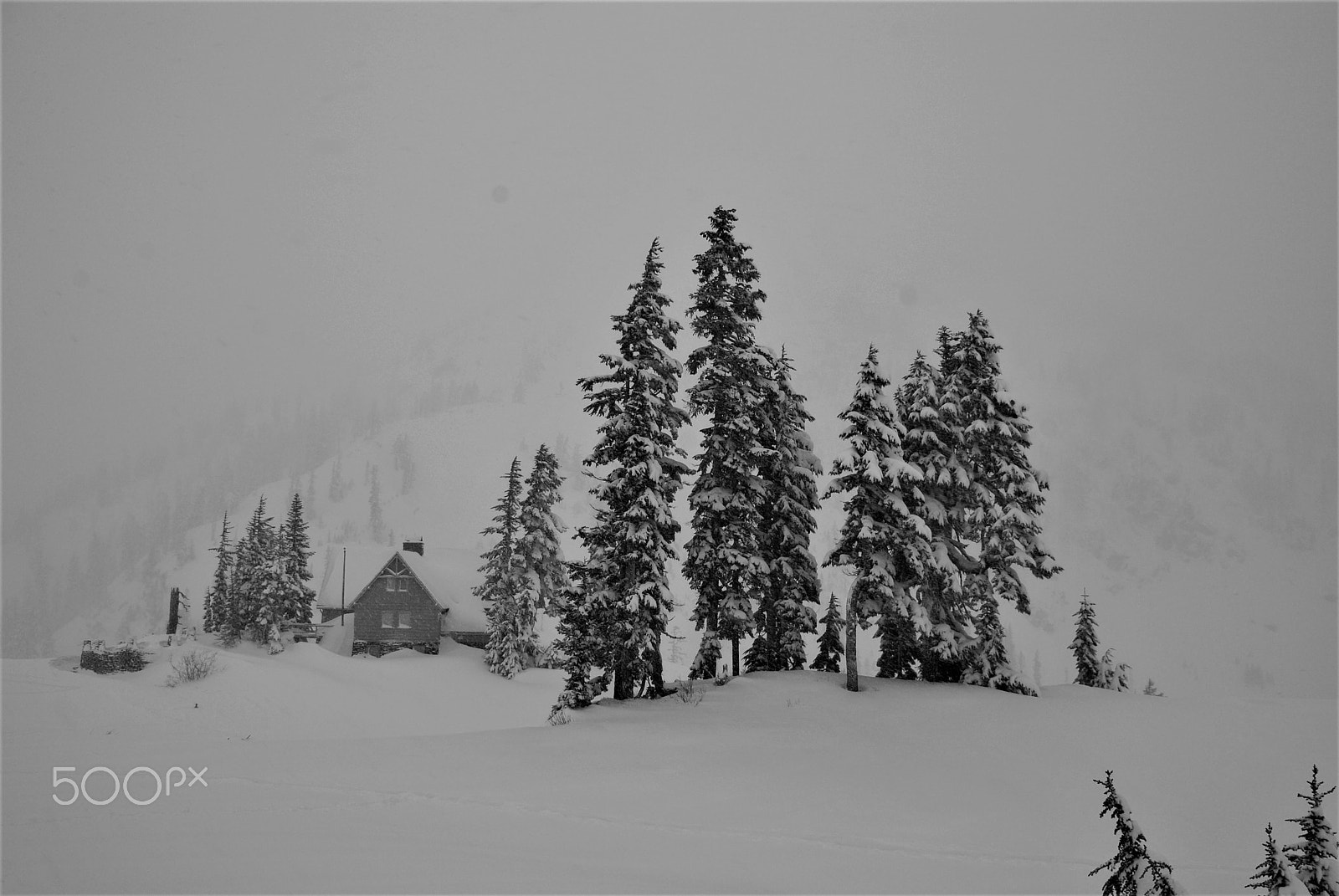 Nikon D40X sample photo. Blizzard on mount baker photography