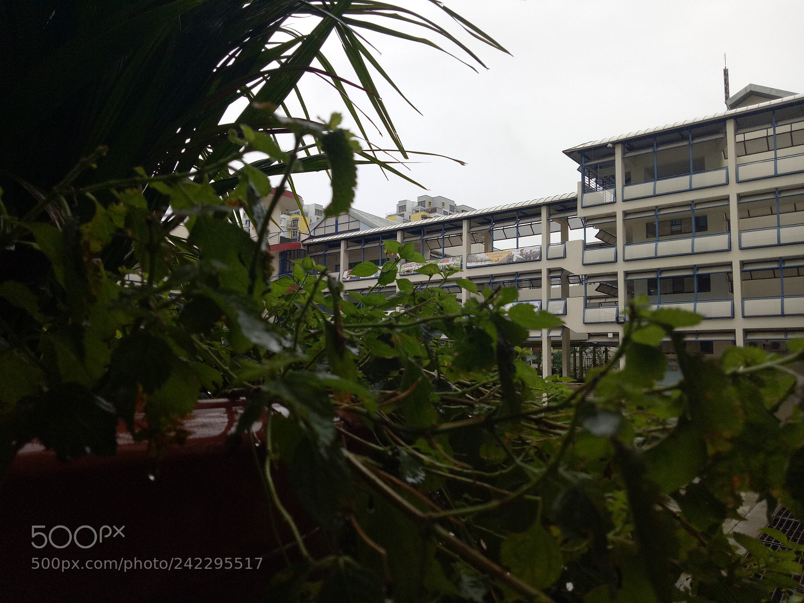 OPPO A1601 sample photo. 02 photography