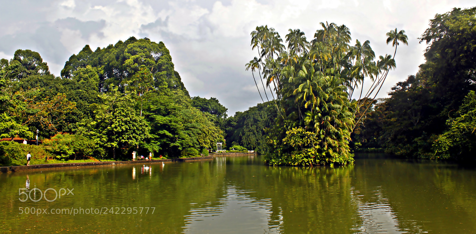 Canon EF-S 18-55mm F3.5-5.6 IS sample photo. Pana botanic garden singapore photography