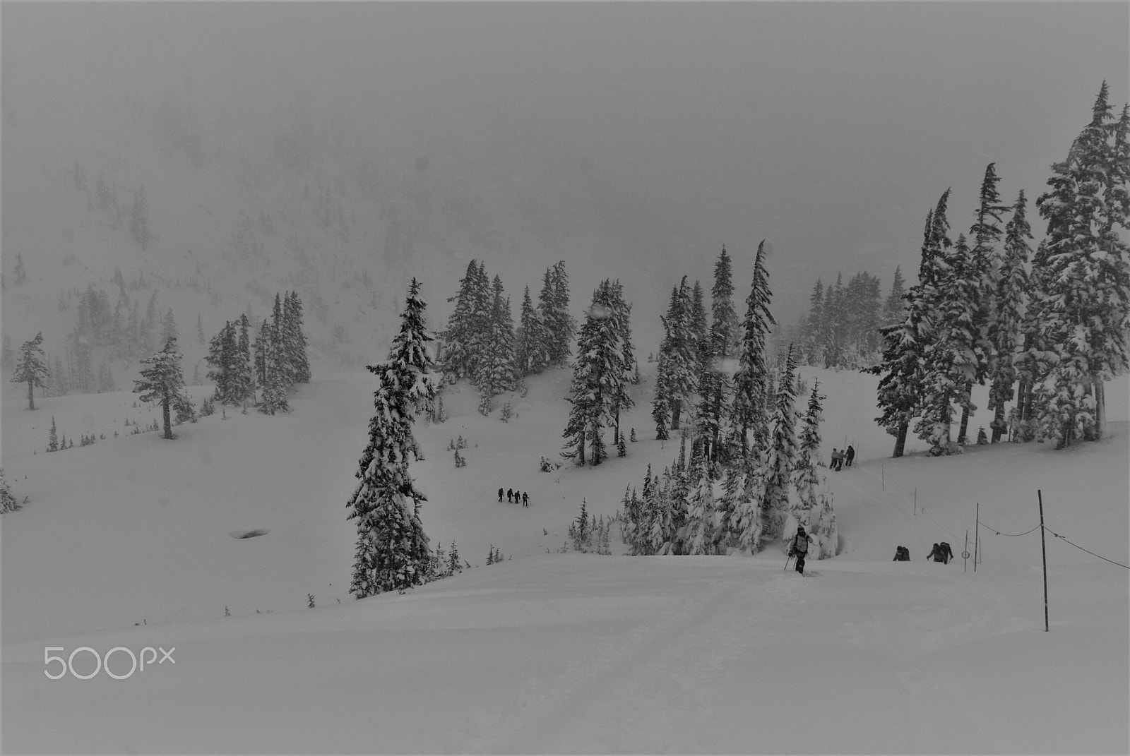Nikon D40X sample photo. Blizzard on mount baker photography