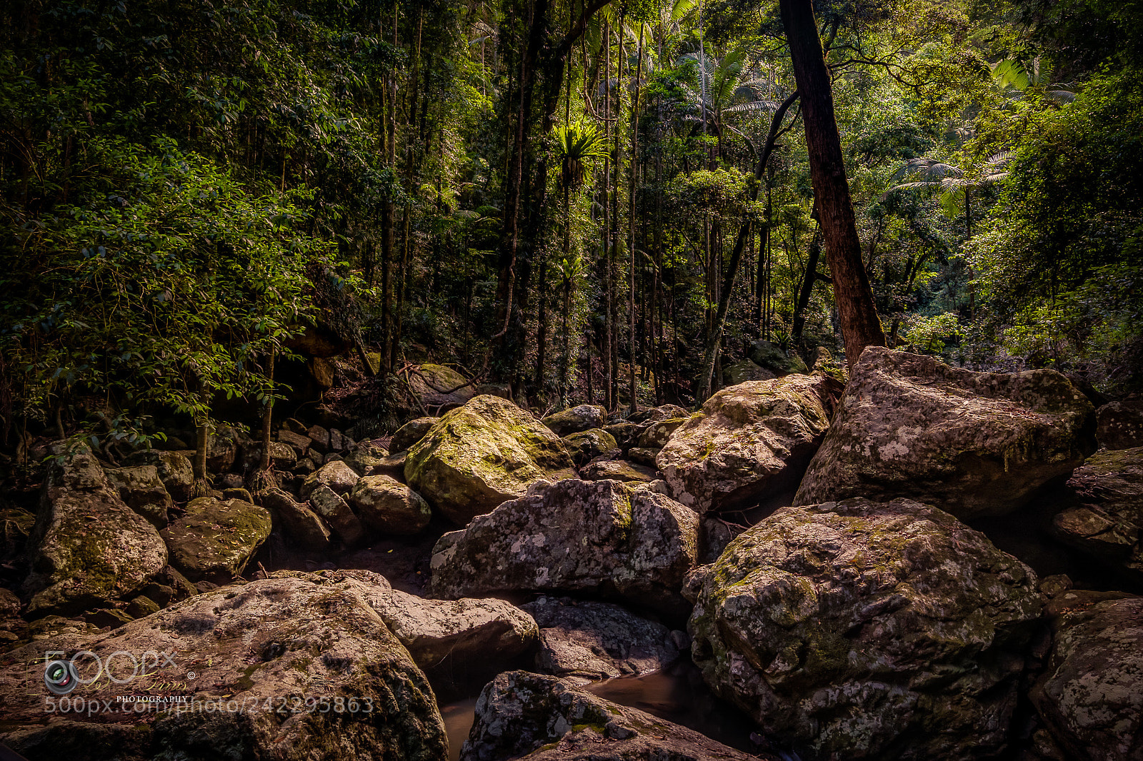 Sony a7 II sample photo. Kondalilla falls, down stream photography
