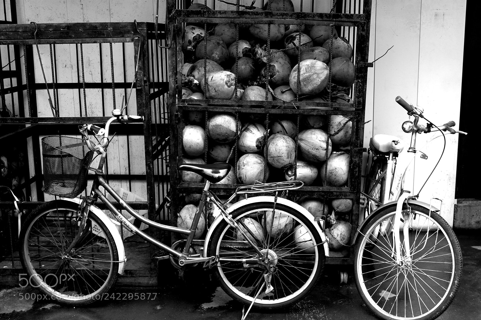 Canon EF-S 18-55mm F3.5-5.6 IS sample photo. Coconut and bicycle photography