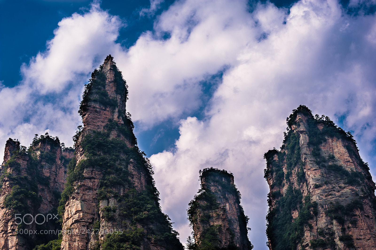 Nikon D700 sample photo. Amazing zhangjiajie photography