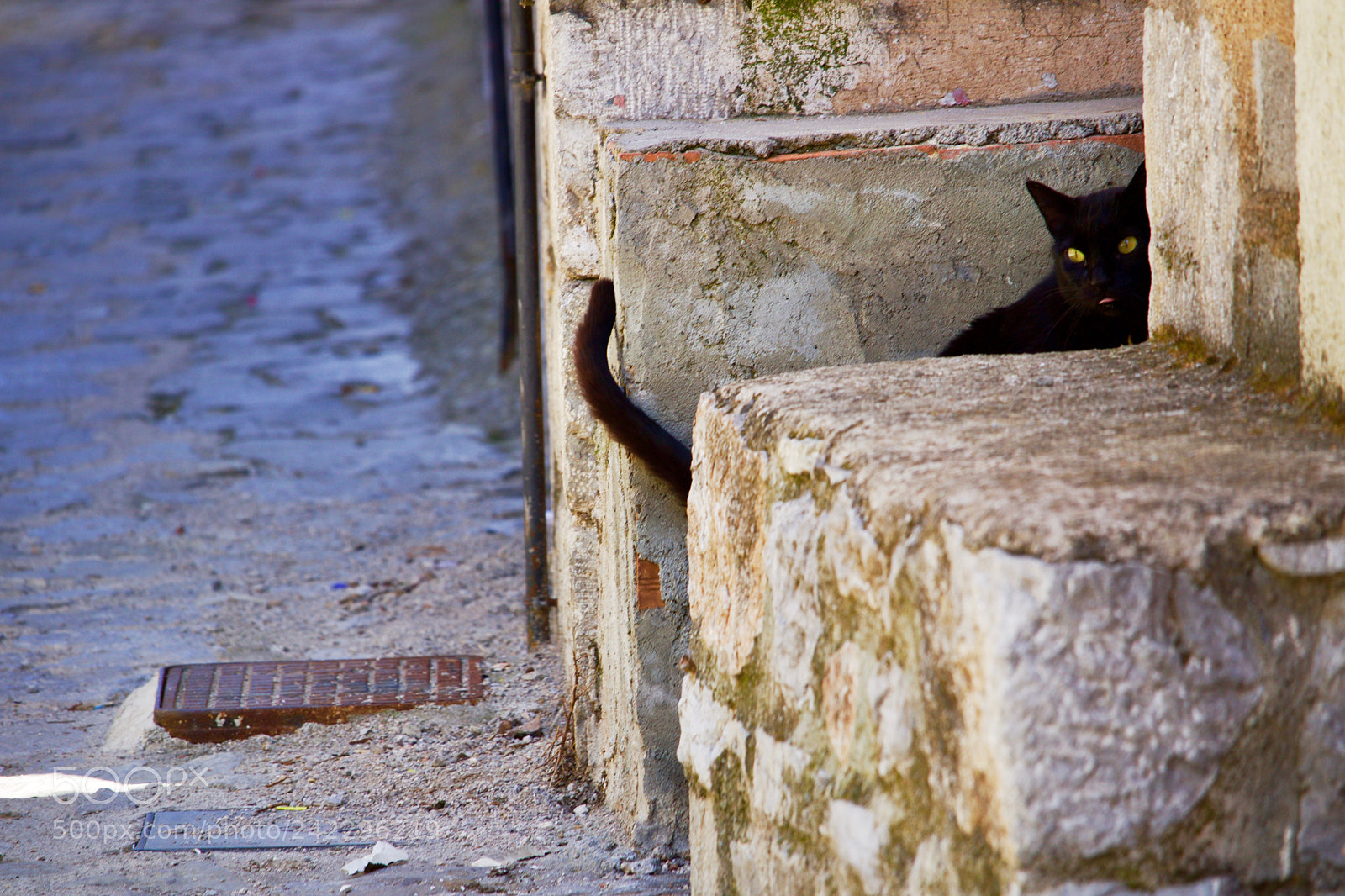 Canon EOS 760D (EOS Rebel T6s / EOS 8000D) sample photo. Arahova, greece photography
