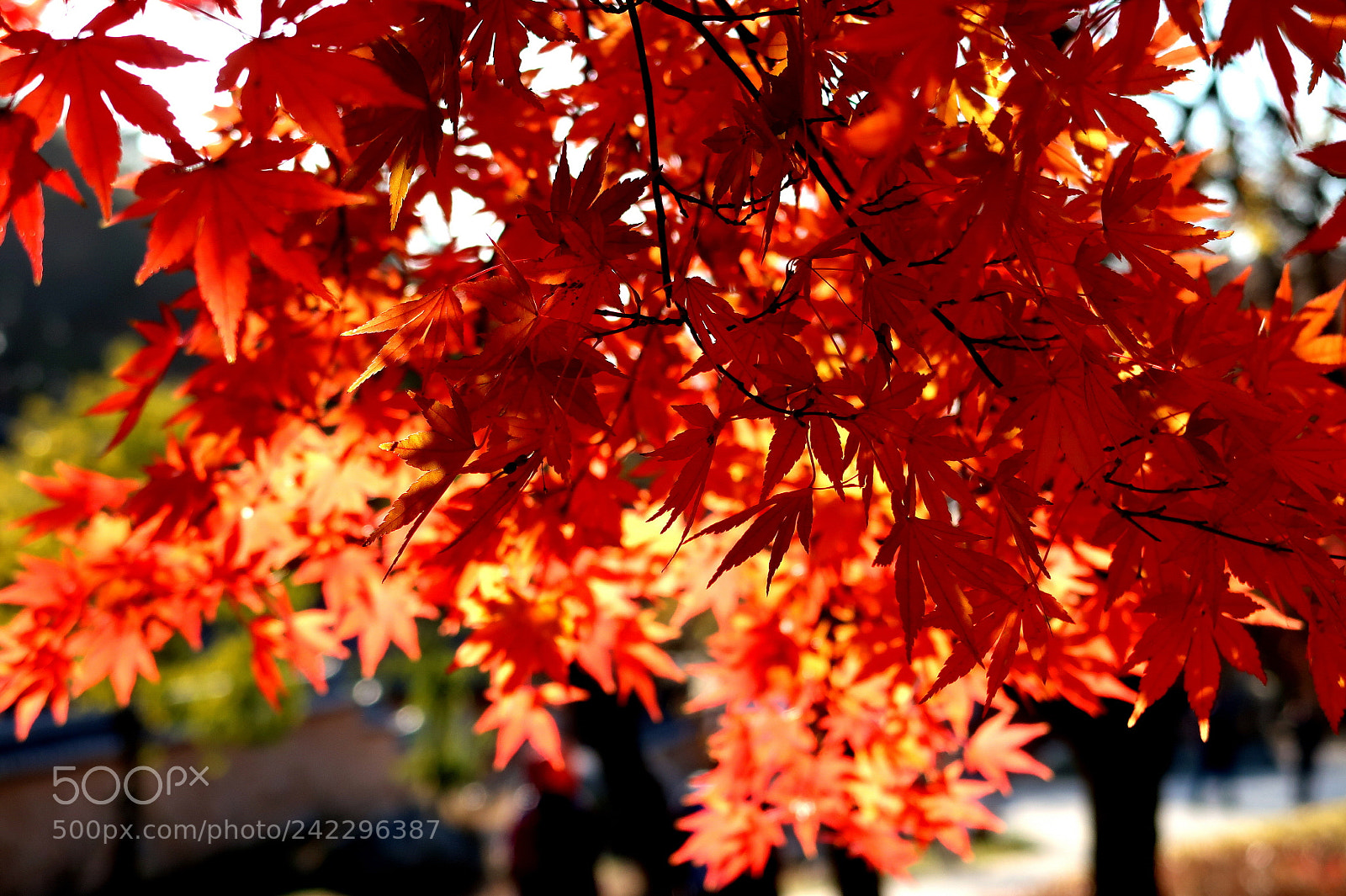 Canon PowerShot G7 X Mark II sample photo. Moaksan in jeonju photography