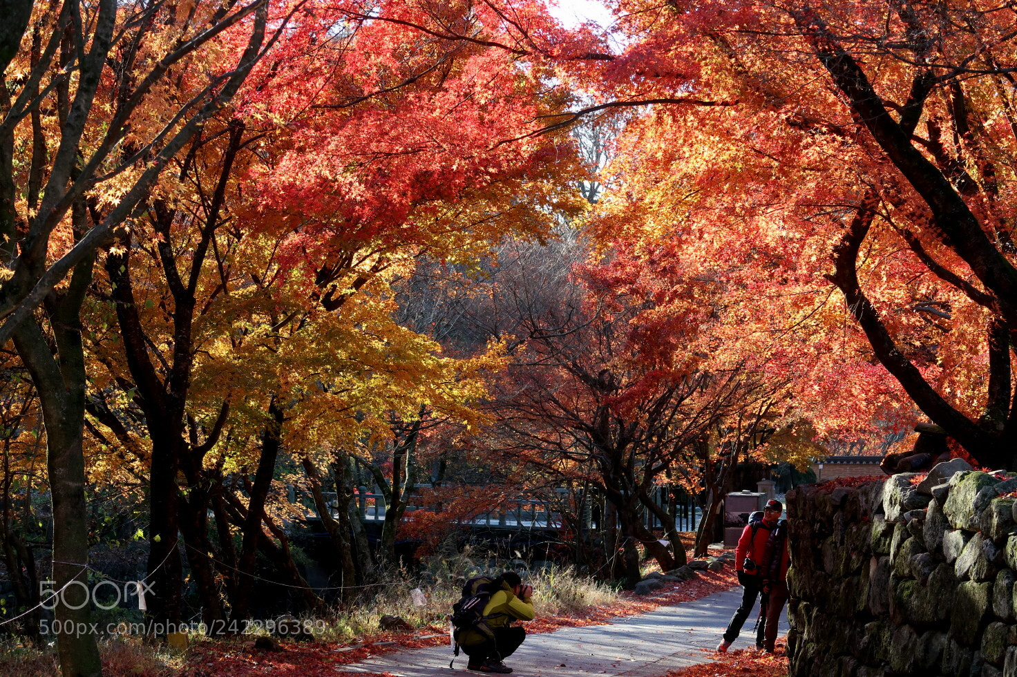 Canon PowerShot G7 X Mark II sample photo. Moaksan in jeonju photography