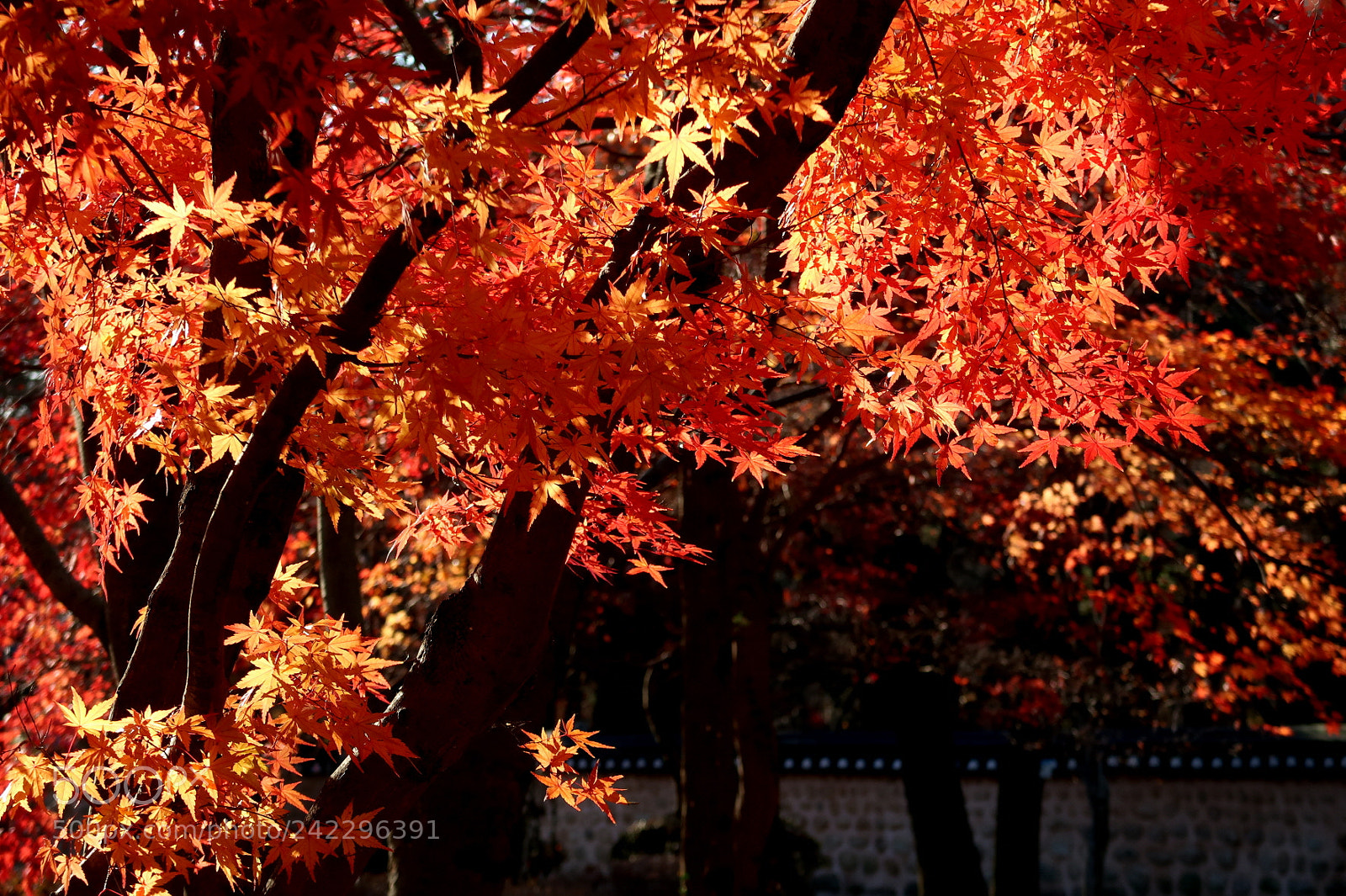 Canon PowerShot G7 X Mark II sample photo. Moaksan in jeonju photography
