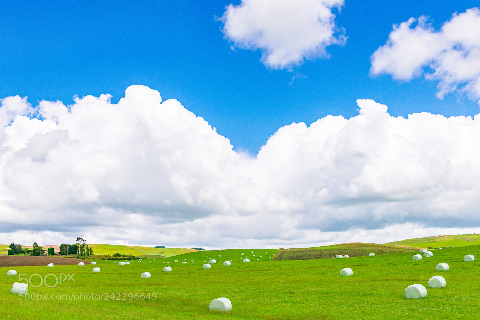 Nikon D800 sample photo. Blue_green photography