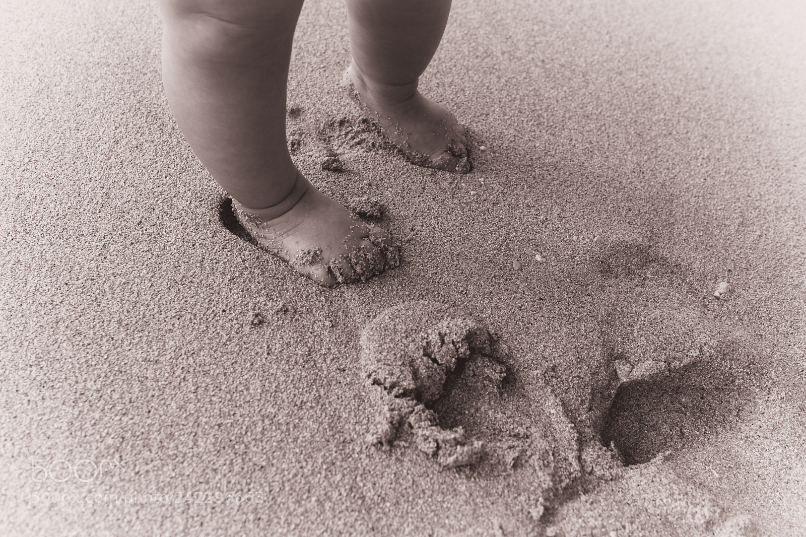 Sony a6500 sample photo. First sandy steps photography
