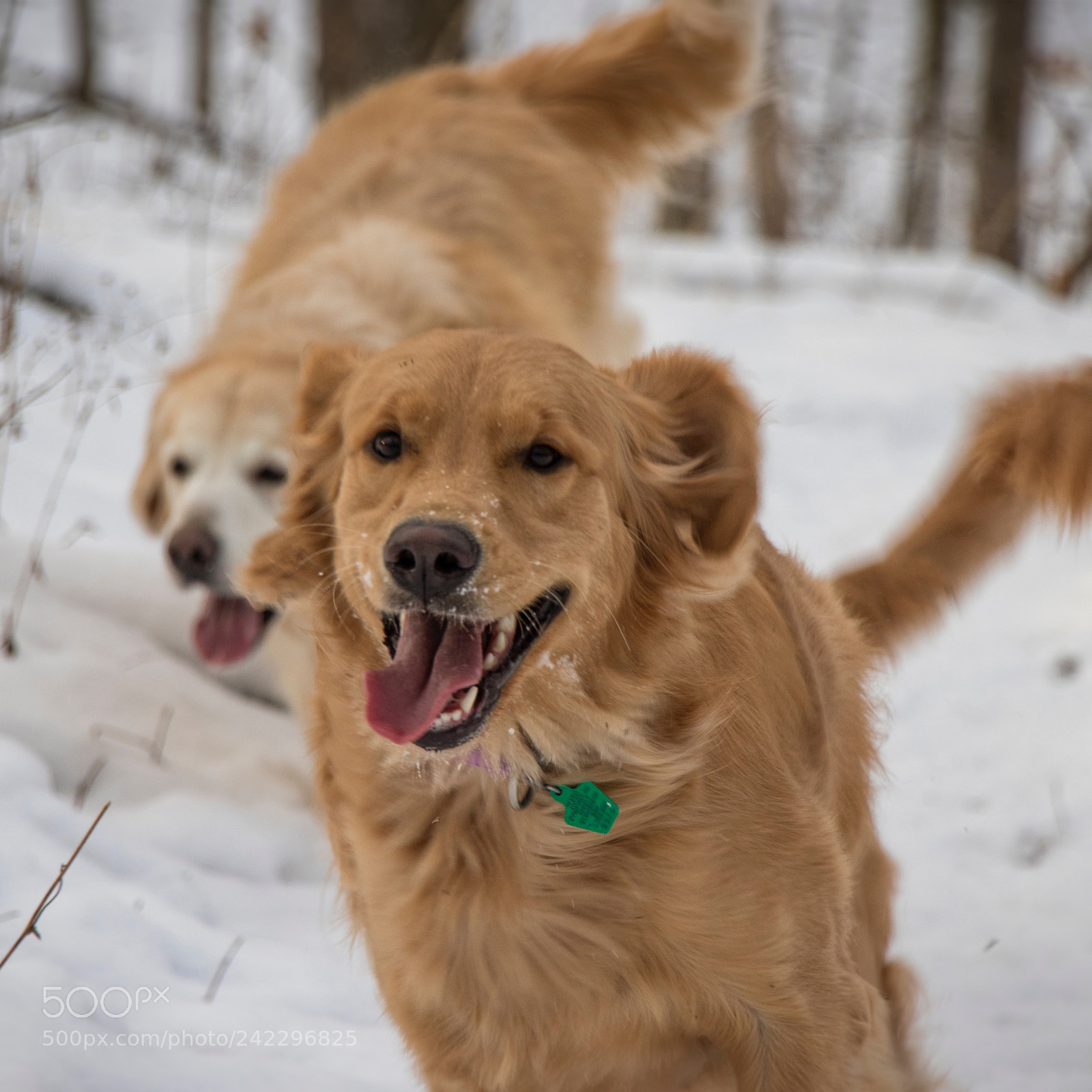 Canon EOS 7D Mark II sample photo. The girls in the photography