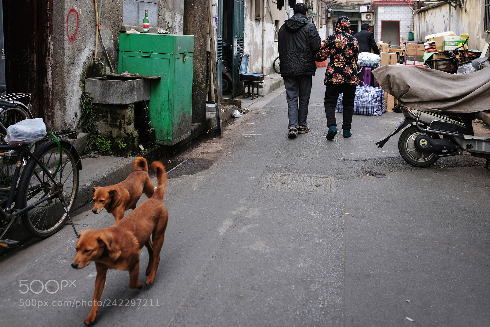 Fujifilm X-T2 sample photo. Untitled photography