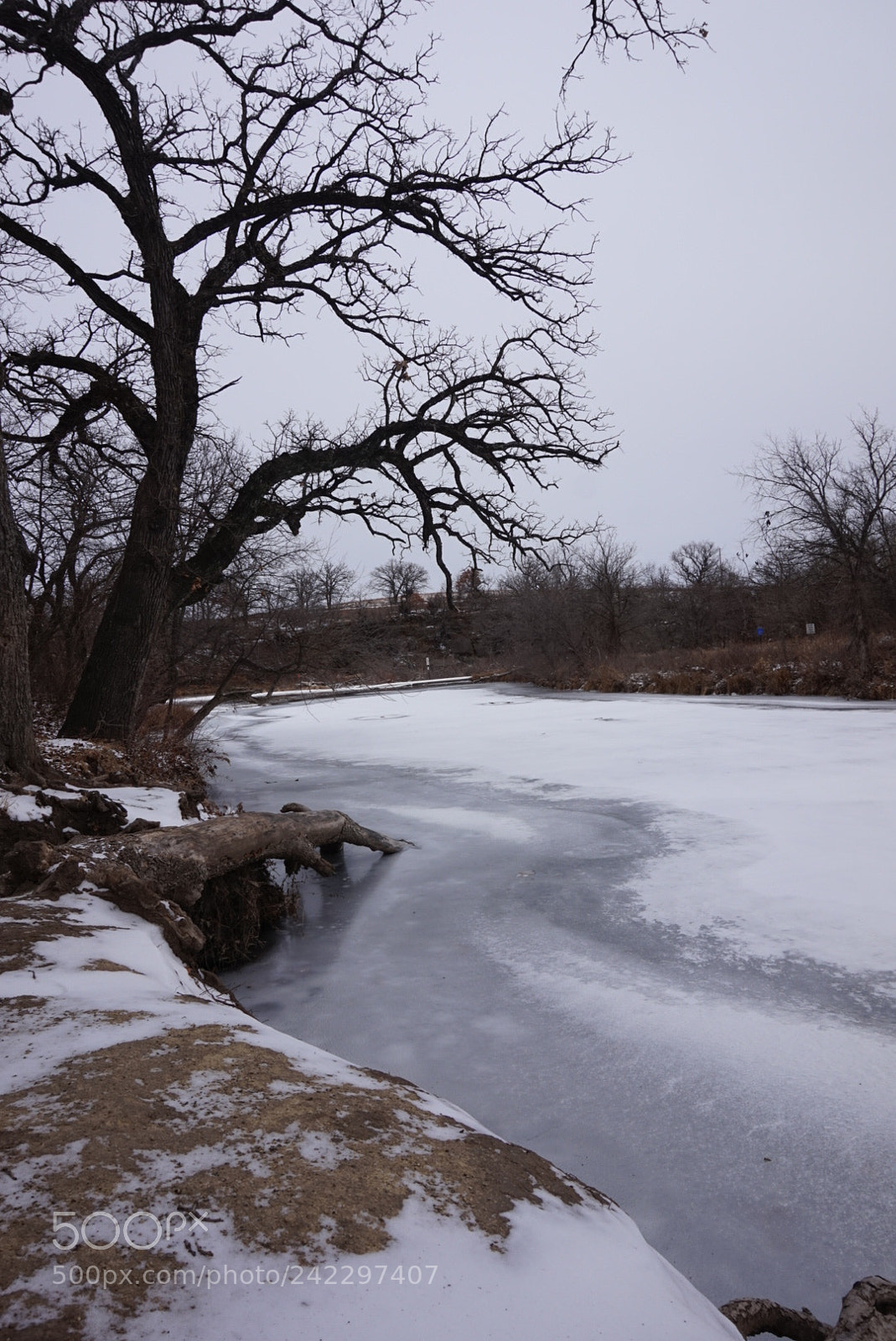 Sony Alpha a5000 (ILCE 5000) sample photo. Manhattan, kansas photography
